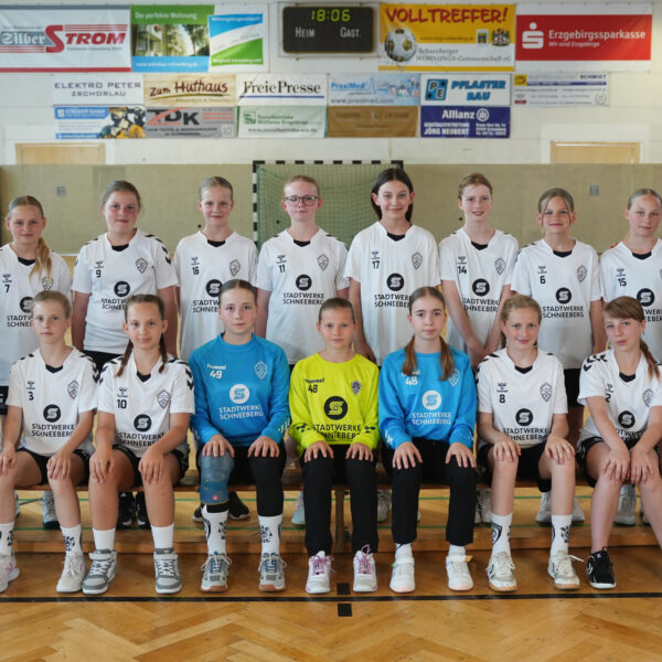 D-Jugend Niederlage beim HV Chemnitz