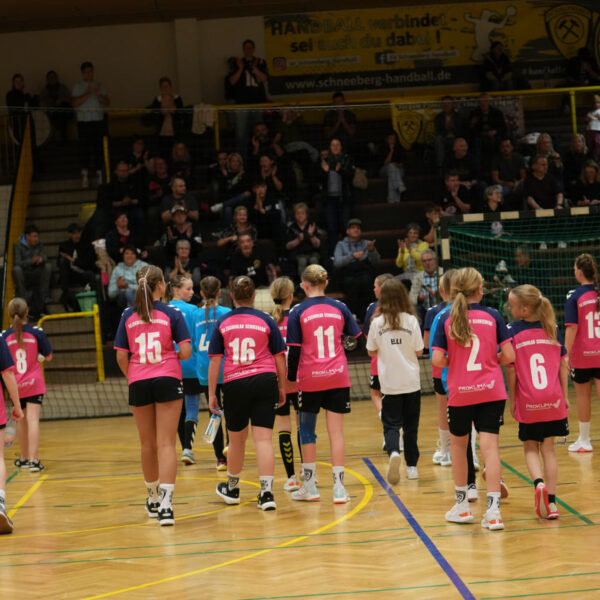 D-Jugend – Niederlage gegen BSV Sachsen Zwickau